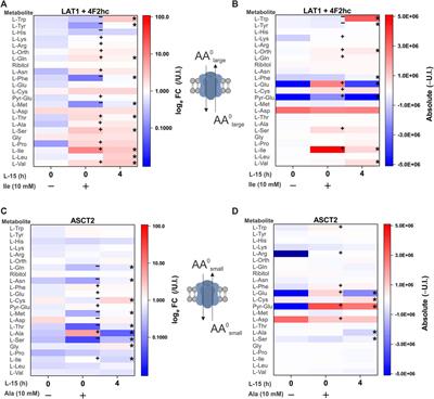 A GC-MS/Single-Cell Method to Evaluate Membrane Transporter Substrate Specificity and Signaling